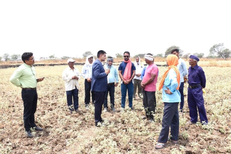 राजनांदगांव : कलेक्टर ने कन्हारपुरी के खेतों में पहुंचकर मौके पर सीमांकन कार्य का लिया जायजा