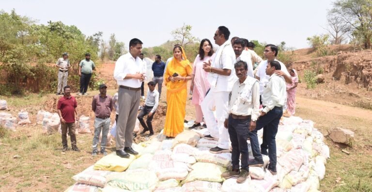 राजनांदगांव : कलेक्टर ने ग्राम घुपसाल में नाला बोरी बंधान कार्य का किया अवलोकन