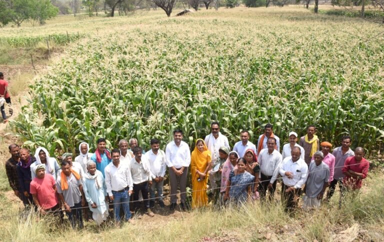 राजनांदगांव : ग्राम घुपसाल के सभी किसानों ने कम पानी वाली फसलों को अपनाकर दिया नया उदाहरण