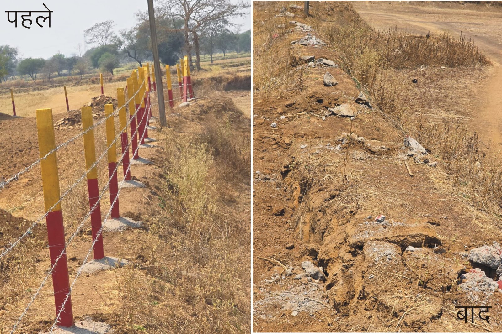 राजनांदगांव : जनदर्शन की पहल से लंबे समय से बंद मार्ग खुला