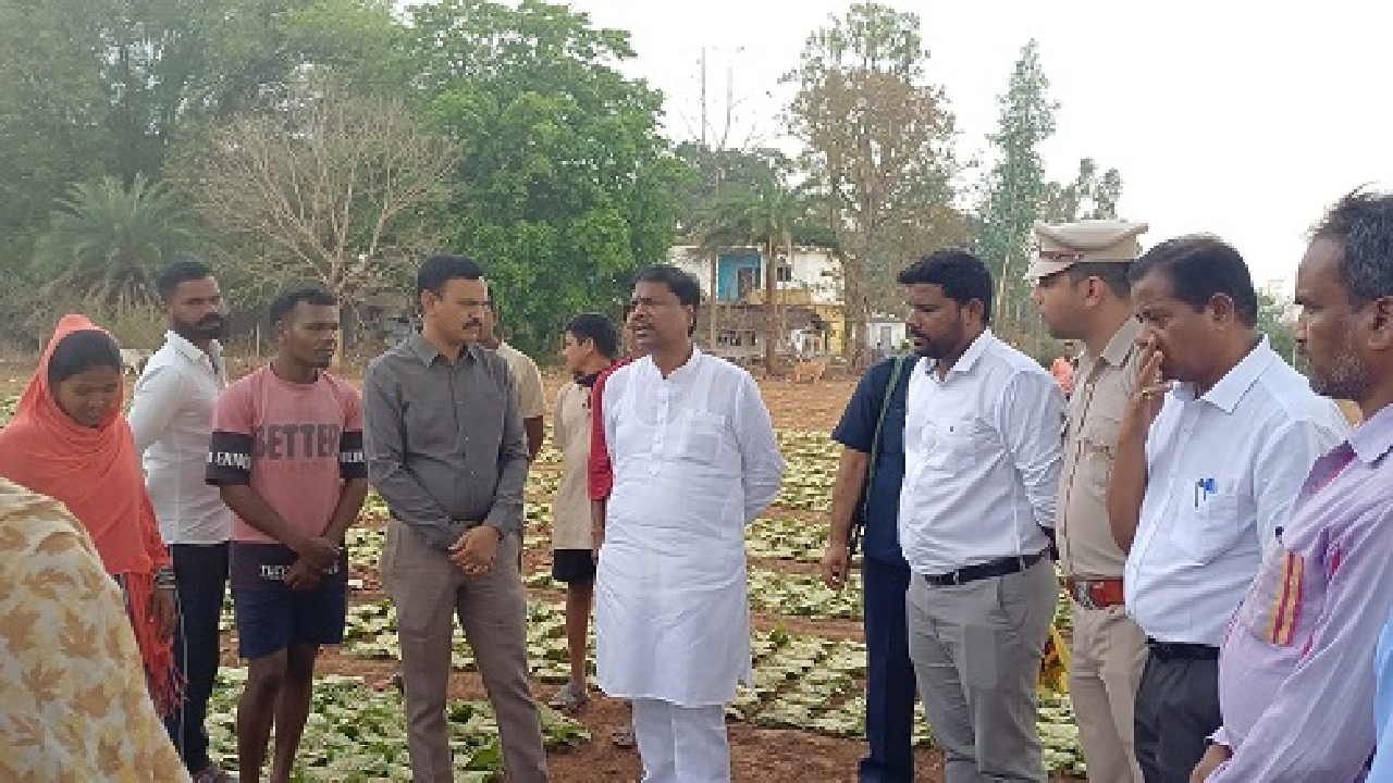 CG : वन मंत्री केदार कश्यप ने दहिकोंगा तेंदूपत्ता फड़ का किया निरीक्षण …