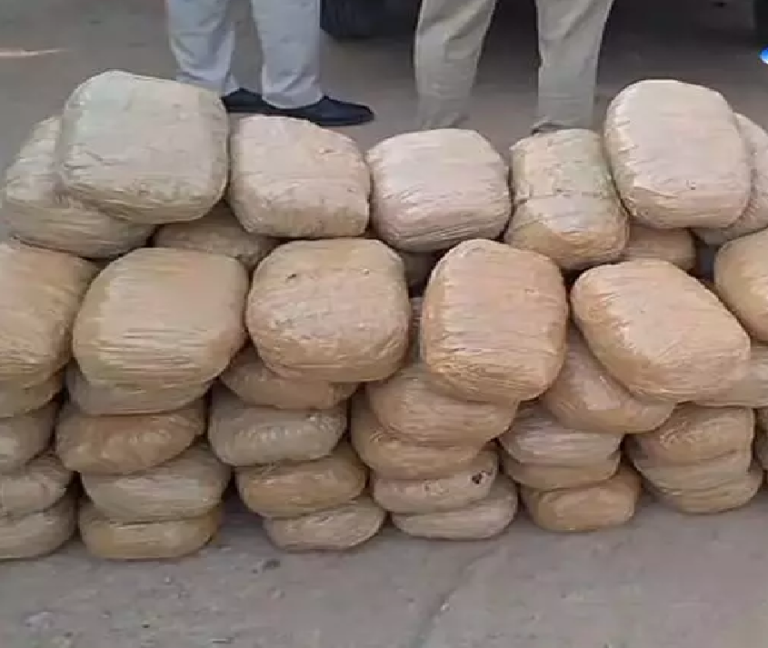 CG : गांजा तस्करी पर बड़ी कार्रवाई, 112 किलो गांजा के साथ 2 अंतरराज्यीय तस्कर गिरफ्तार …