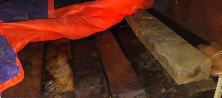 CG : लकड़ी के अवैध परिवहन पर कार्रवाई, पिकअप जब्त ...