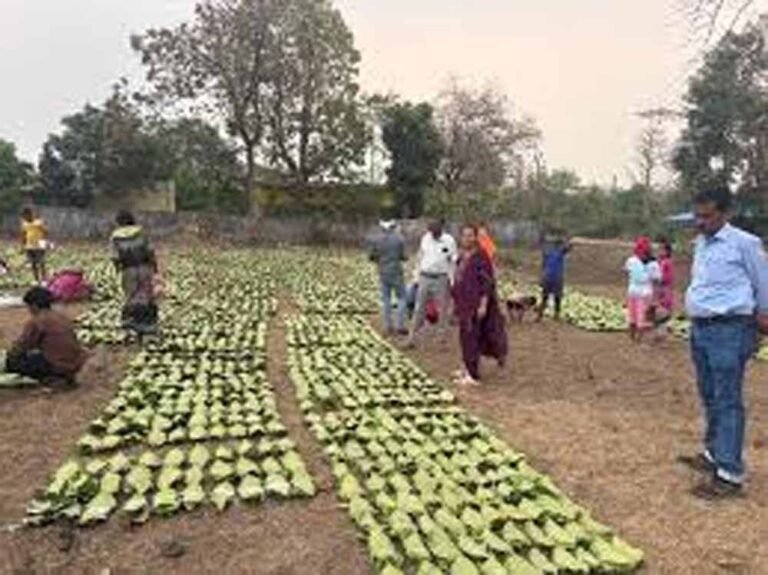 Chhattisgarh_News_05-2-25.jpg